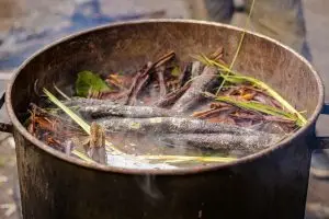Raw ayahuasca herb prepared for a ceremony in Sao Paulo, Brazil.